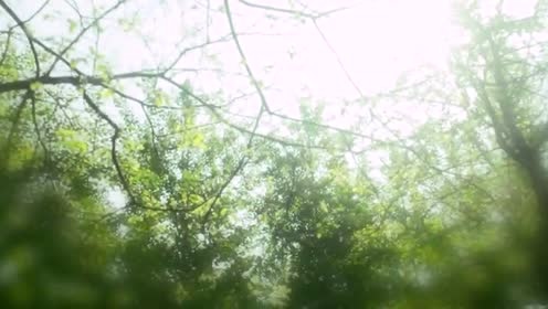 러블리벗 (Lovelybut) - Love is Lovely But... (预告版)