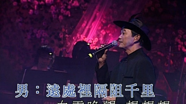 张德兰 - 天涯孤客 (KTV版)