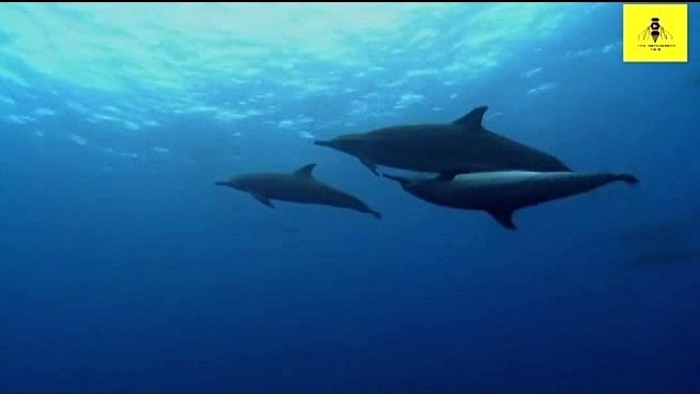 欧阳琴 - 今生永相伴 (KTV版)