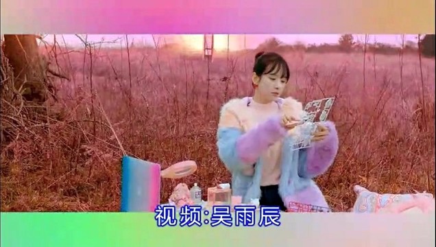 红袖 - 缘聚今生 (Remix)