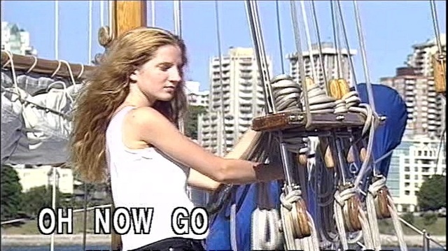 Gloria Gaynor - I Will Survive (KTV版)