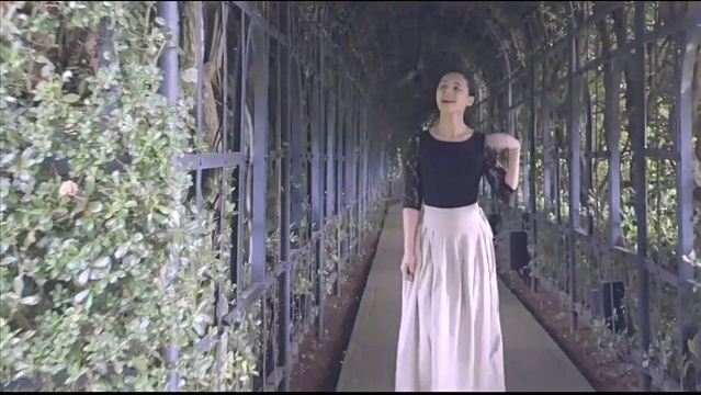 手嶌葵-ちょっとしたもの (short ver.)-高清mv在线看