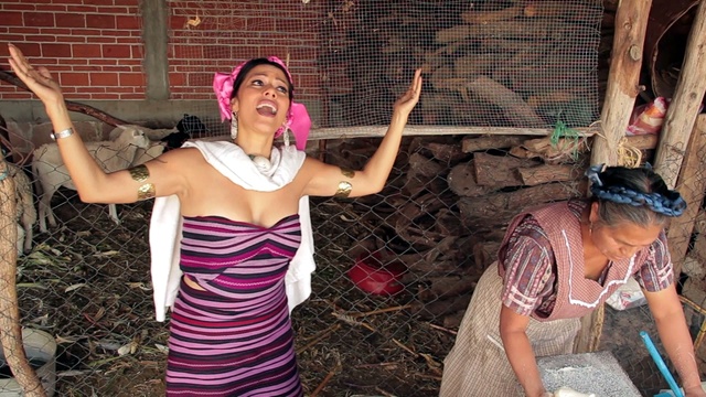 Lila Downs - Palomo Del Comalito