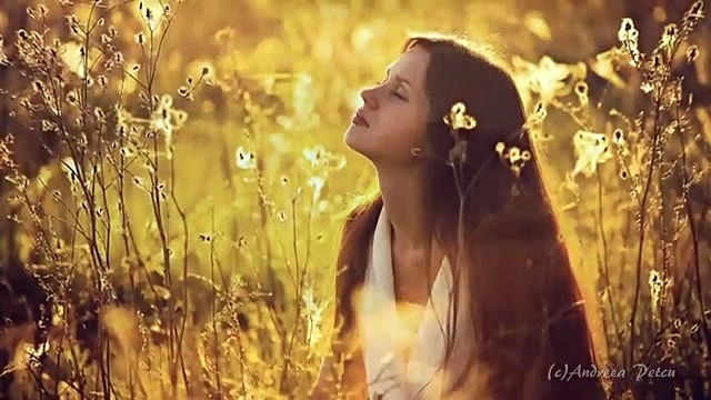 Elshan Mansurov - Elegy