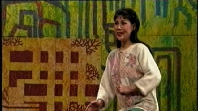 李金枝 - 【豫剧】我真傻我真笨 2/2 + 云作罗帐雾作纱 + 当初他甜言蜜语将我骗 + 闺女中女闷悠悠 1/2