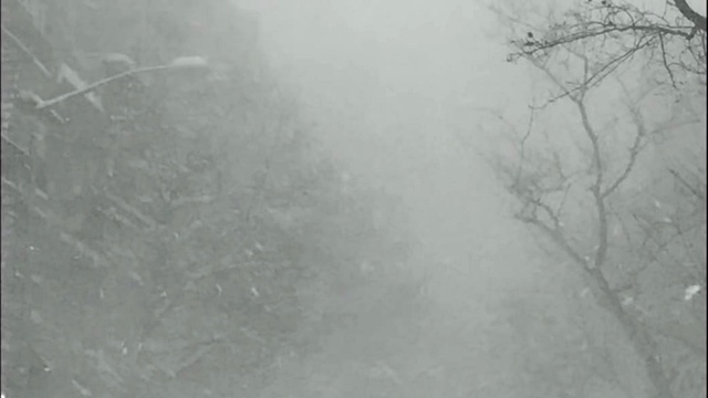 Cashmere Cat - Throw Myself A Party (音频版)