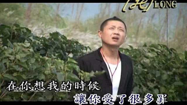 贾皓然 - 爱你的心犯了错 (KTV版)