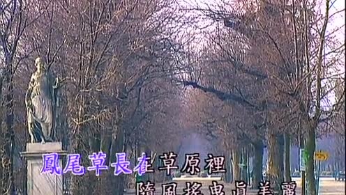 杨雅卉 - 凤尾草 (KTV版)