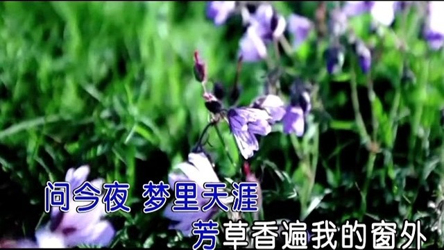 凌波 - 天上星七色花 (KTV版)