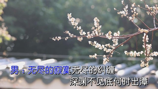 杰哥哥 - 真心却被你暗算 (对唱版)