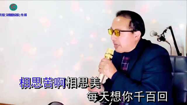 王桂海 - 相思苦相思美 (KTV版)