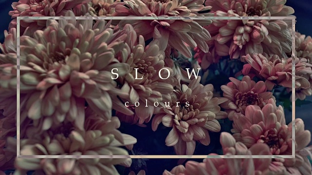 Colours - Slow (音频版)