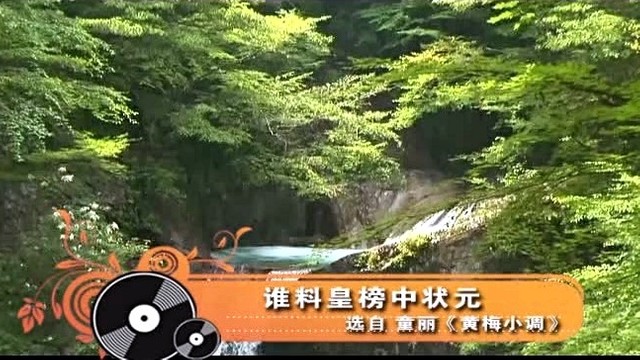 童丽 - 谁料皇榜中状元 (KTV版)