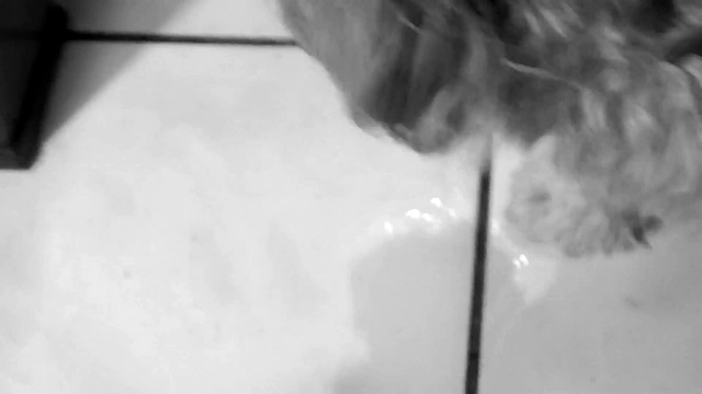 Ernesto Pachito - The Rise of Compassion - Electronic trio