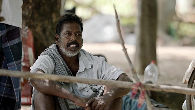 Mahalingam - Kambu 30