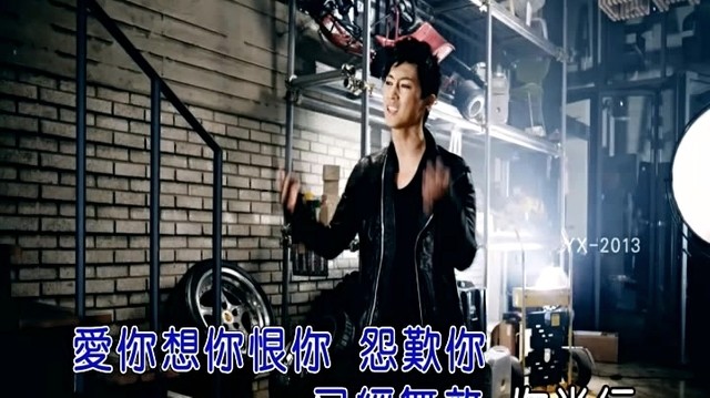 向蕙玲 - 一粒心两种面 (KTV版)