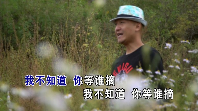 陈东 - 花总是那么美 (KTV版)