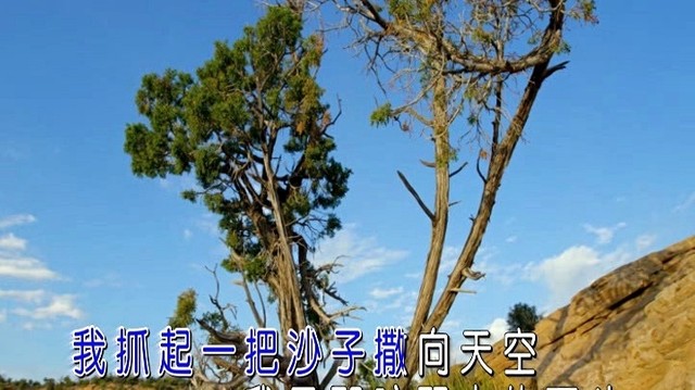 薛松 - 旷野中的石头 (KTV版)