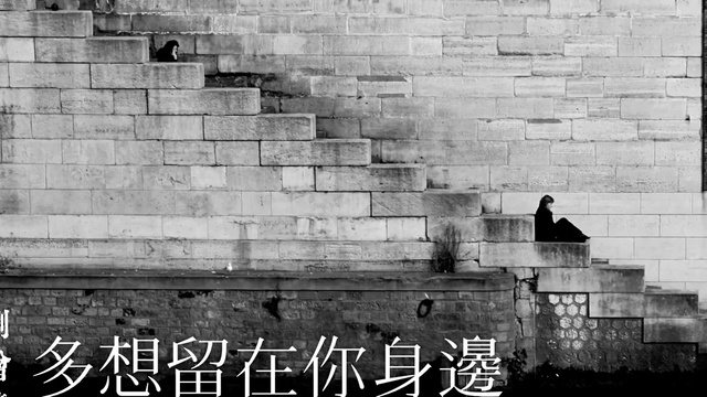 刘增瞳 - 多想留在你身边 (音频版)