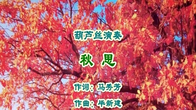 毕建新 - 秋思 （马国宪葫芦丝）