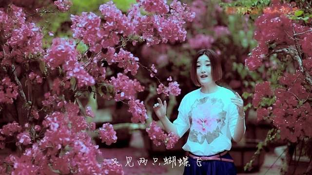 云菲菲 - 又见两只蝴蝶飞