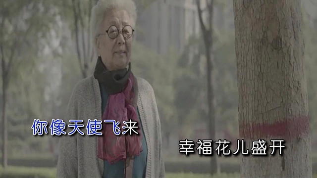 晏敏敏 - 蝴蝶兰  (KTV版)