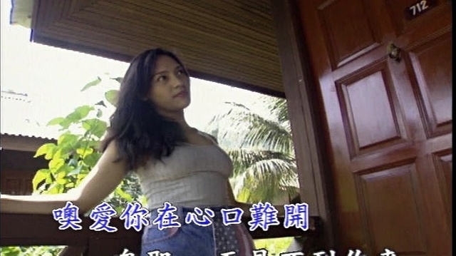 凤飞飞 - 爱你在心口难开 (KTV版)