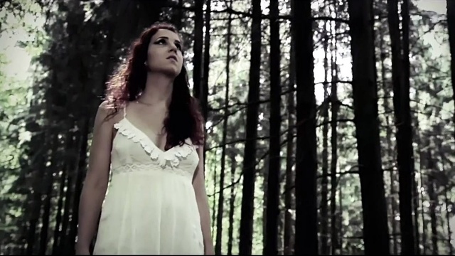 Cambridge - In The Woods