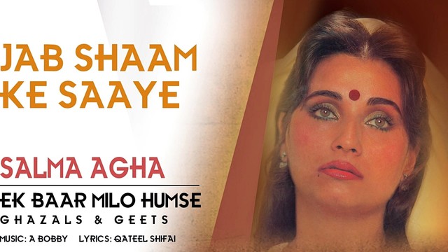 Salma Agha - Jab Shaam Ke Saaye (音频版)