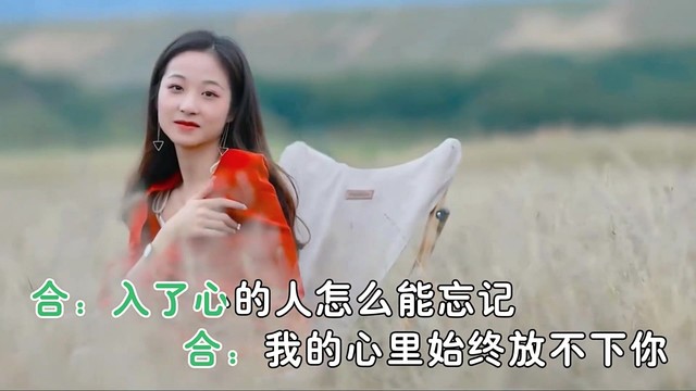涛声依旧 - 怎么能忘记 (对唱版)