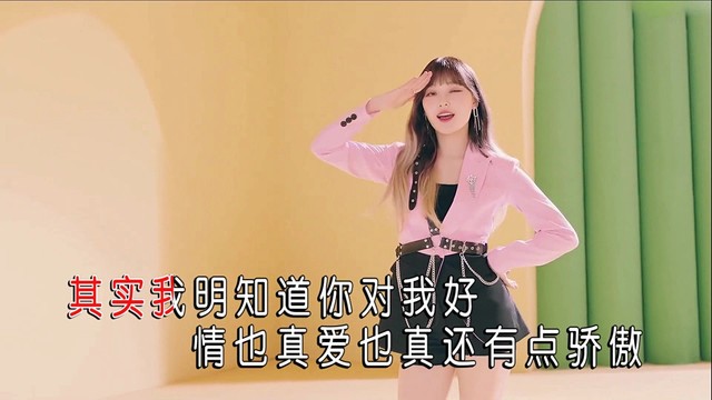 踏雪韵梅 - 我的爱情感了冒