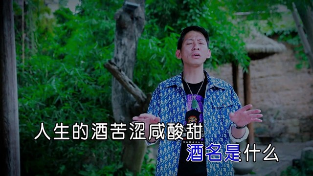 良良 - 醉人生 (KTV版)