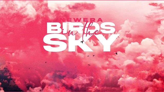 Newera - Birds In The Sky (Visualiser Video)