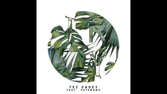 Tez Cadey - Ivory (音频版)