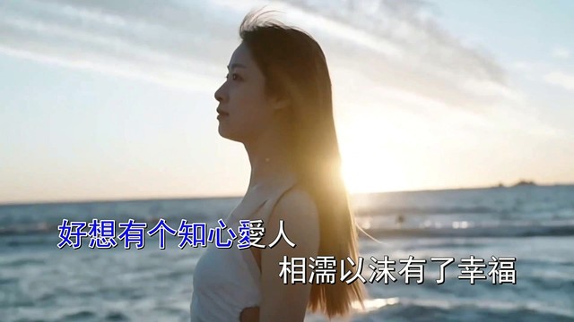 蓝海大哥 - 多想找个贴心的人 (对唱版)