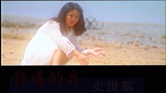 史俊鹏 - 路过的夜