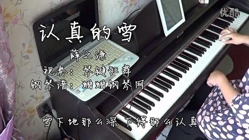 演奏曲 - 钢琴版《 认真的雪》 (饭制版)