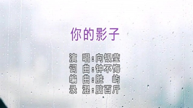 向银莹 - 你的影子 (KTV版)