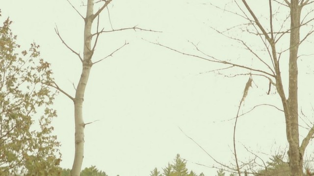 nothing,nowhere. - true love