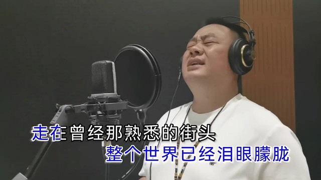 向明刚 - 曾经的温柔 (KTV版)