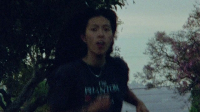 Deb Never - mr nobody