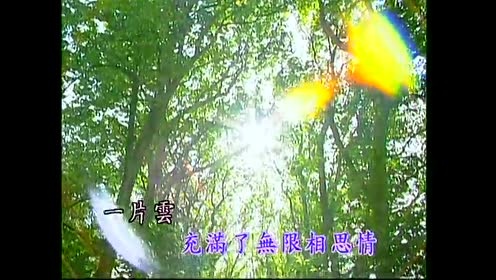 甄秀珍 - 相思林 (KTV版)