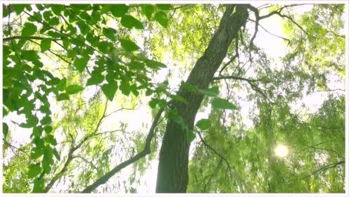 问候的温度 - 이별이 유일했던 날 (预告版)