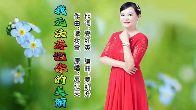 夏红英 - 我无法忘记你的美丽 (KTV版)