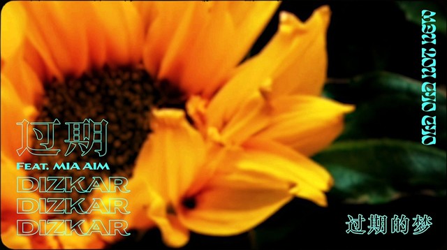 地磁卡Dizkar - 过期 (歌词版)