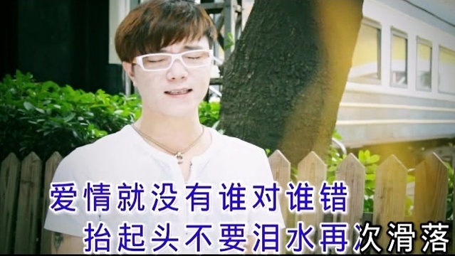 黄体体 - 你爱的不是我 (KTV版)
