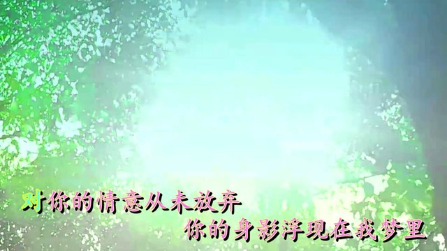 史佳伟 - 想爱不能在一起 (KTV版)