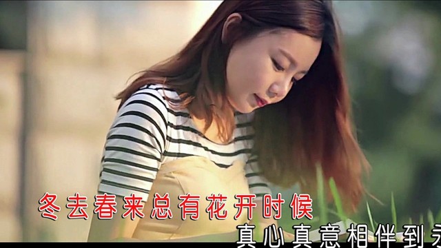张德平 - 给我多一点温柔 (KTV版)