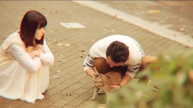 周予天 - 小小的爱 (《黑喵知情》片头曲)