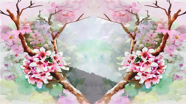 利未 Lēwî - 葬花男